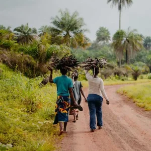 Strategies to Combat Food